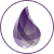 Elixir is a dynamic, functional language designed for building scalable and maintainable applications.